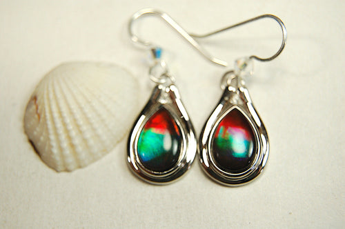 Ammolite Jewelry Earrings Drop Dangles.Brilliant rainbow ammolites with RARE Rich colors.Birthday Gift for Wife?#111133