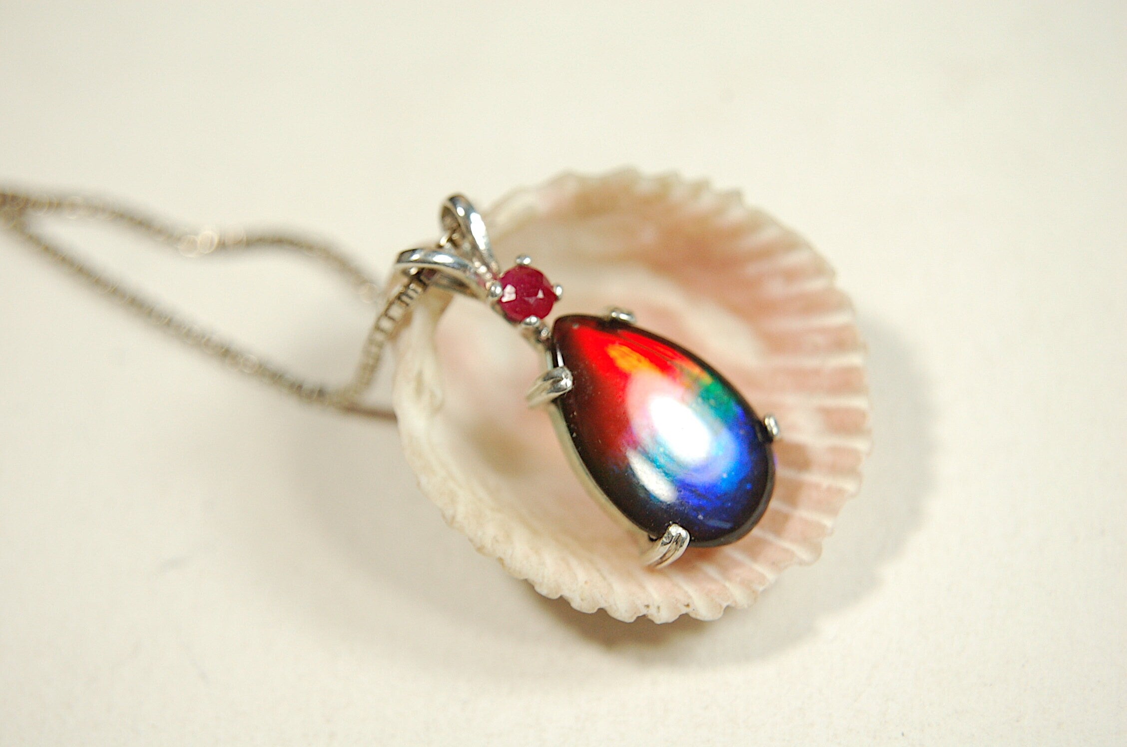 Ammolite Raibow pendant.Natural ruby companion stone.Lots of bright colors.#110317
