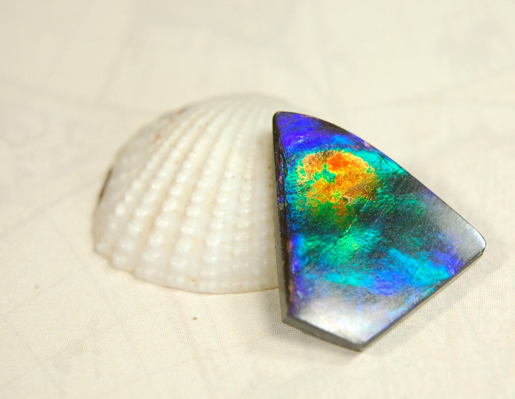 Natural Ammolite Cabochon.Certified Canadian Gem.Rare blues.Will make a valuable one of a kind pendant.A perfect gift.