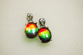 Ammolite Dangle Drop Earrings.Rare 4 color gems.Very showy.Birthday Anniversary Gift?.030616