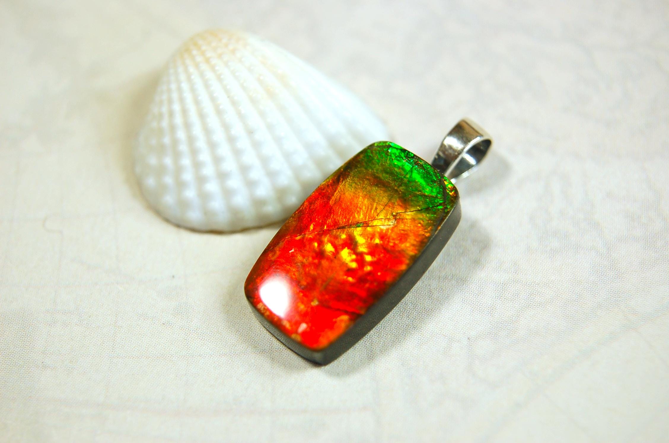 Unisex Ammolite Pendant Necklace.Genuine natural gemstone from Alberta. Perfect Gift idea..091514