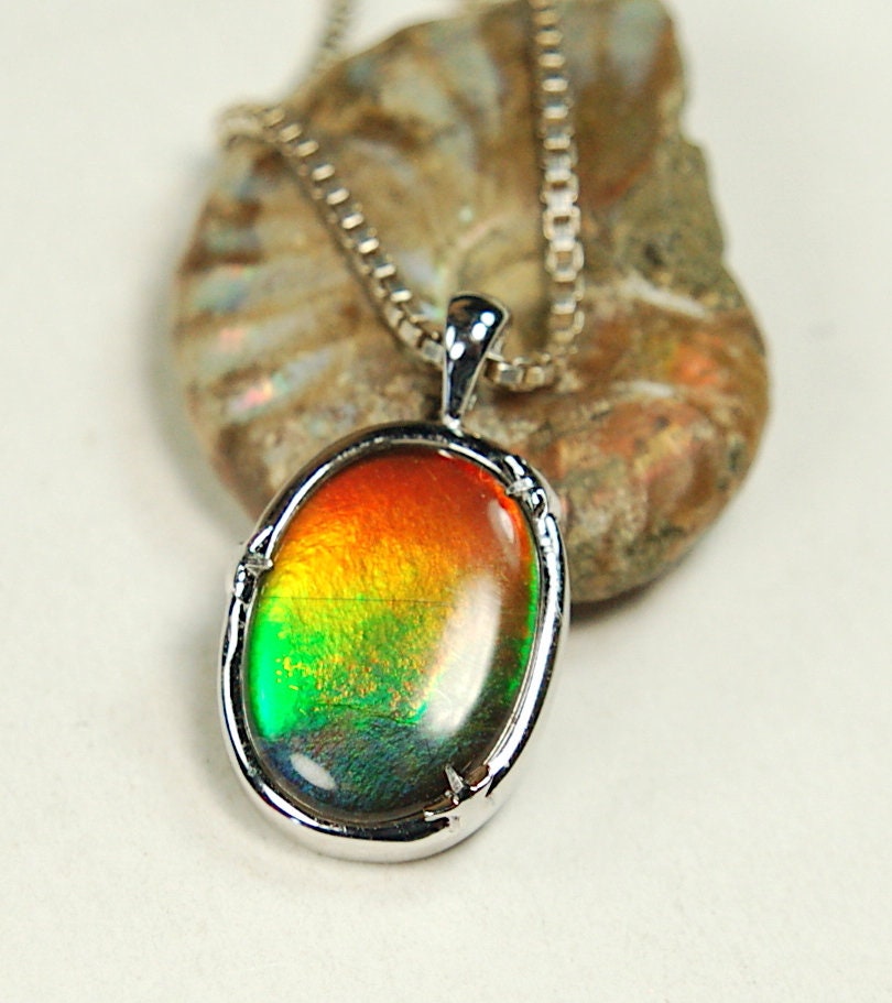 Ammolite Jewelry pendant with lovely rich colors that amaze.Canadian ammolite.Ammolite jewelry at its best.Ammolite from Canada.#051012