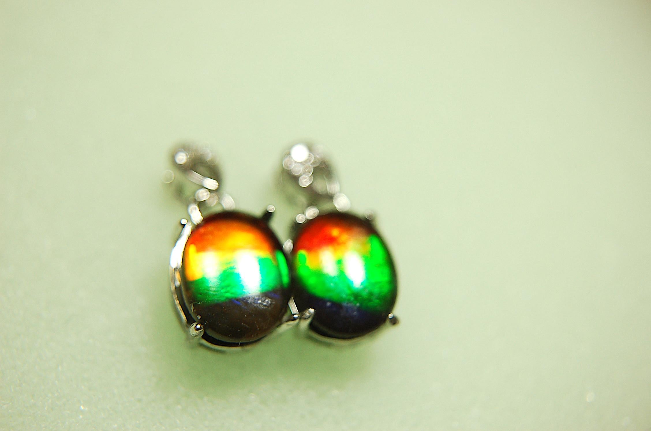 Ammolite Dangle Drop Earrings.Rare 4 color gems.Very showy.Birthday Anniversary Gift?.030616