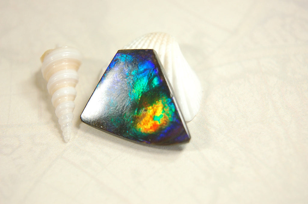 Natural Ammolite Cabochon.Certified Canadian Gem.Rare blues.Will make a valuable one of a kind pendant.A perfect gift.