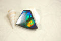 Natural Ammolite Cabochon.Certified Canadian Gem.Rare blues.Will make a valuable one of a kind pendant.A perfect gift.