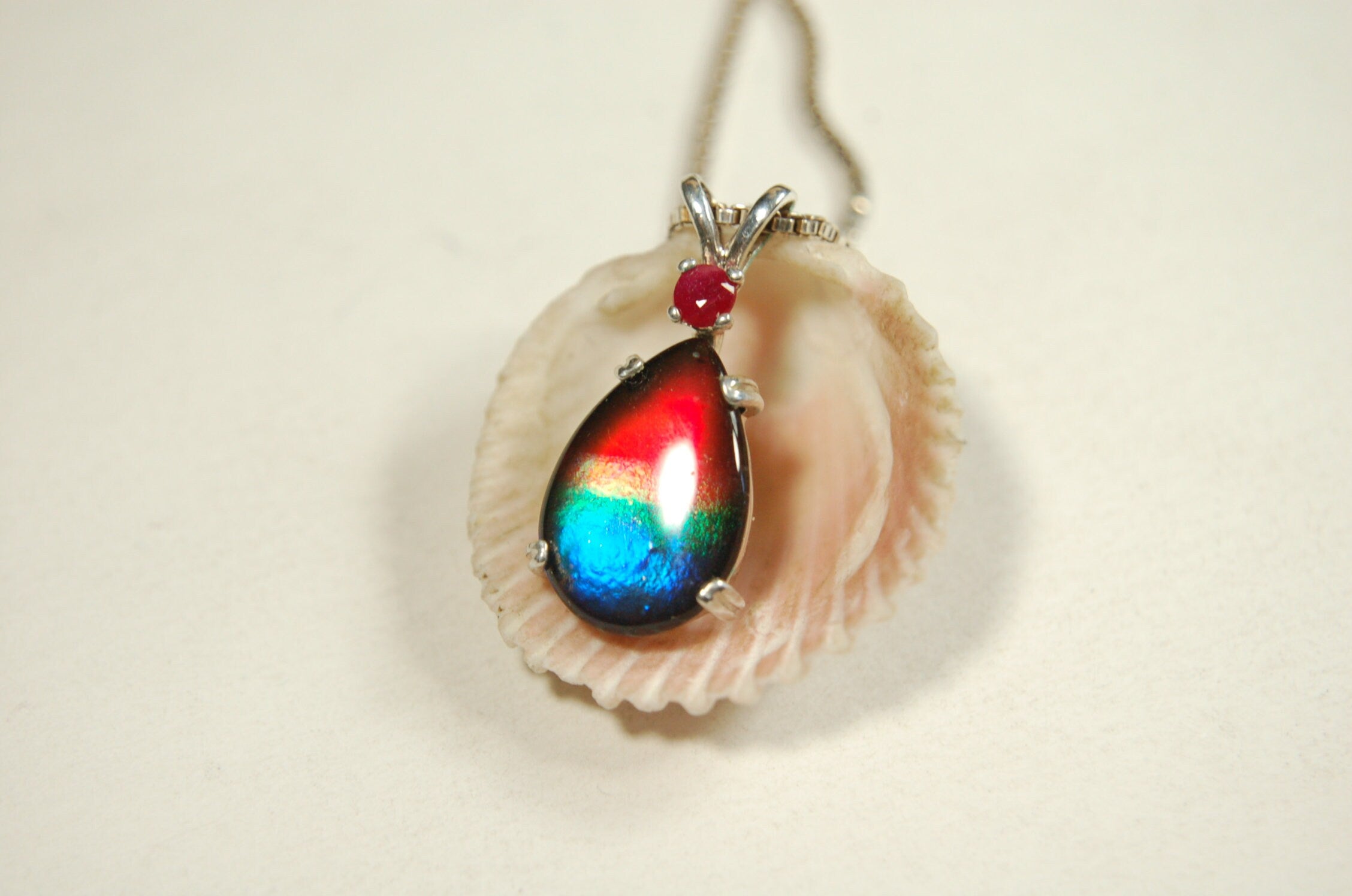 Ammolite Raibow pendant.Natural ruby companion stone.Lots of bright colors.#110317