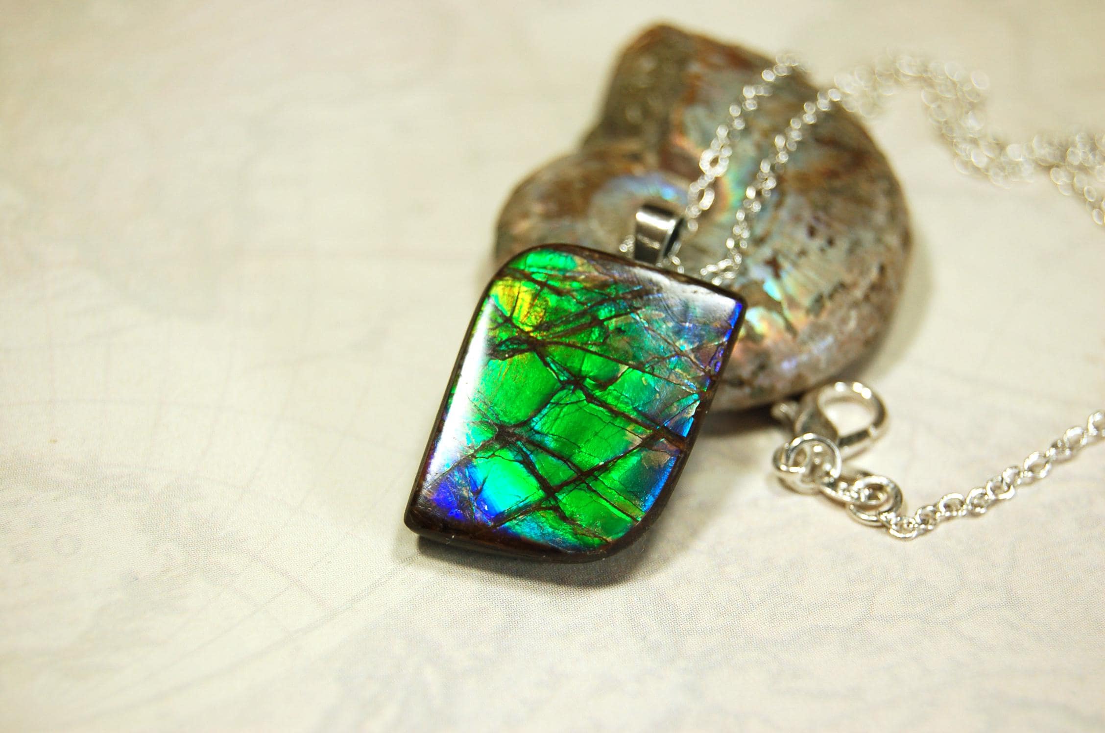 Ammolite Jewelry Pendant.Very high quality colors best seen in video.All natural cabochon gemstone from Alberta,Canada.031916