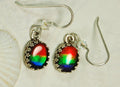 Ammolite Ear Rings.Perfect Mothers Day gift of RARE genuine ammolite she is sure to treasure.Lovely matched tricolor rainbow gems.#102410