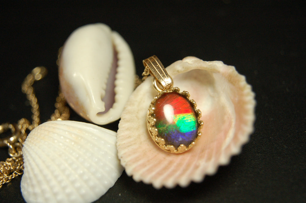 Gorgeous Ammolite pendant in 14k gold.Petite but powerful.Four color ammolite.Ammolite jewelry from Canada.Perfect gift. .060212