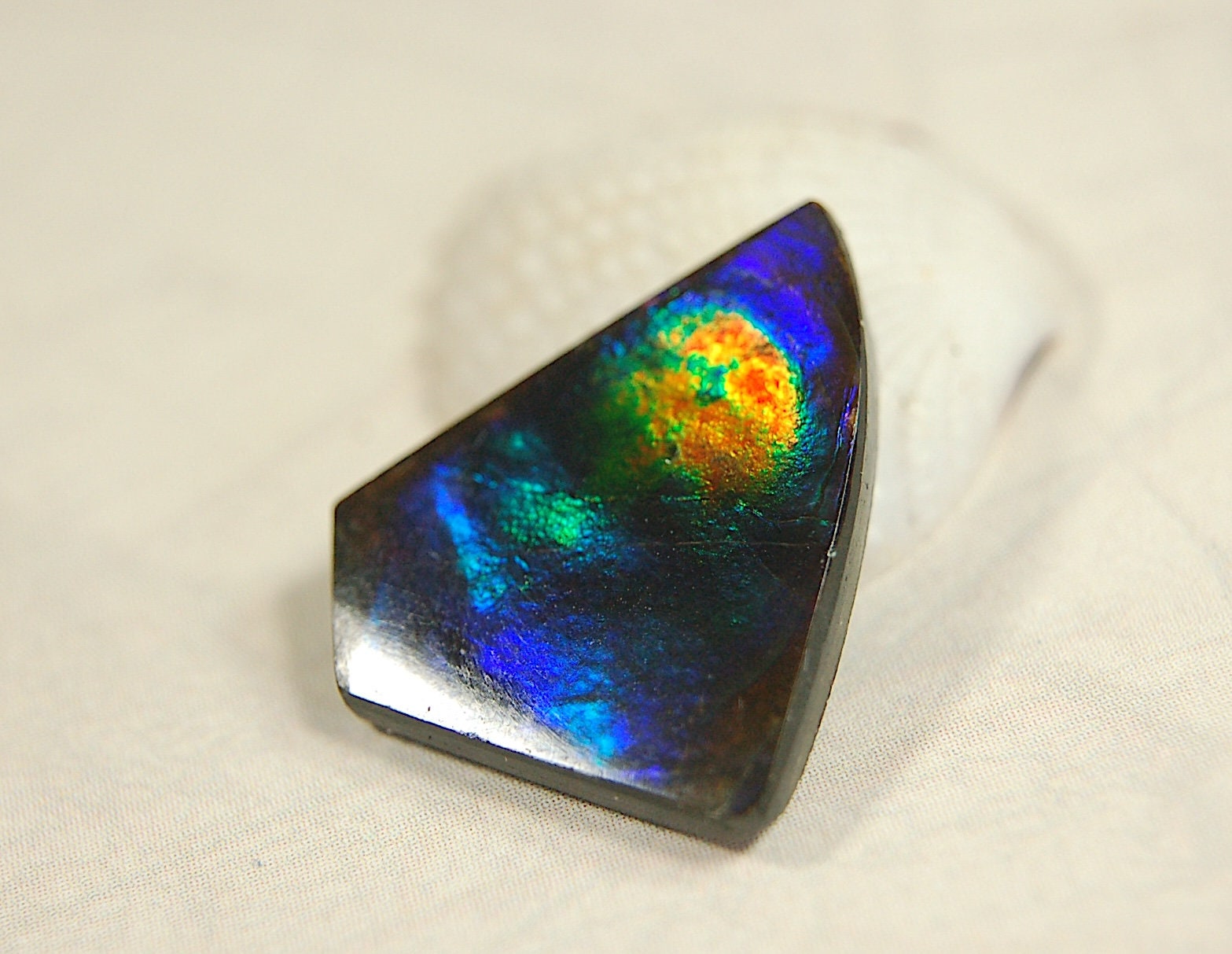 Natural Ammolite Cabochon.Certified Canadian Gem.Rare blues.Will make a valuable one of a kind pendant.A perfect gift.