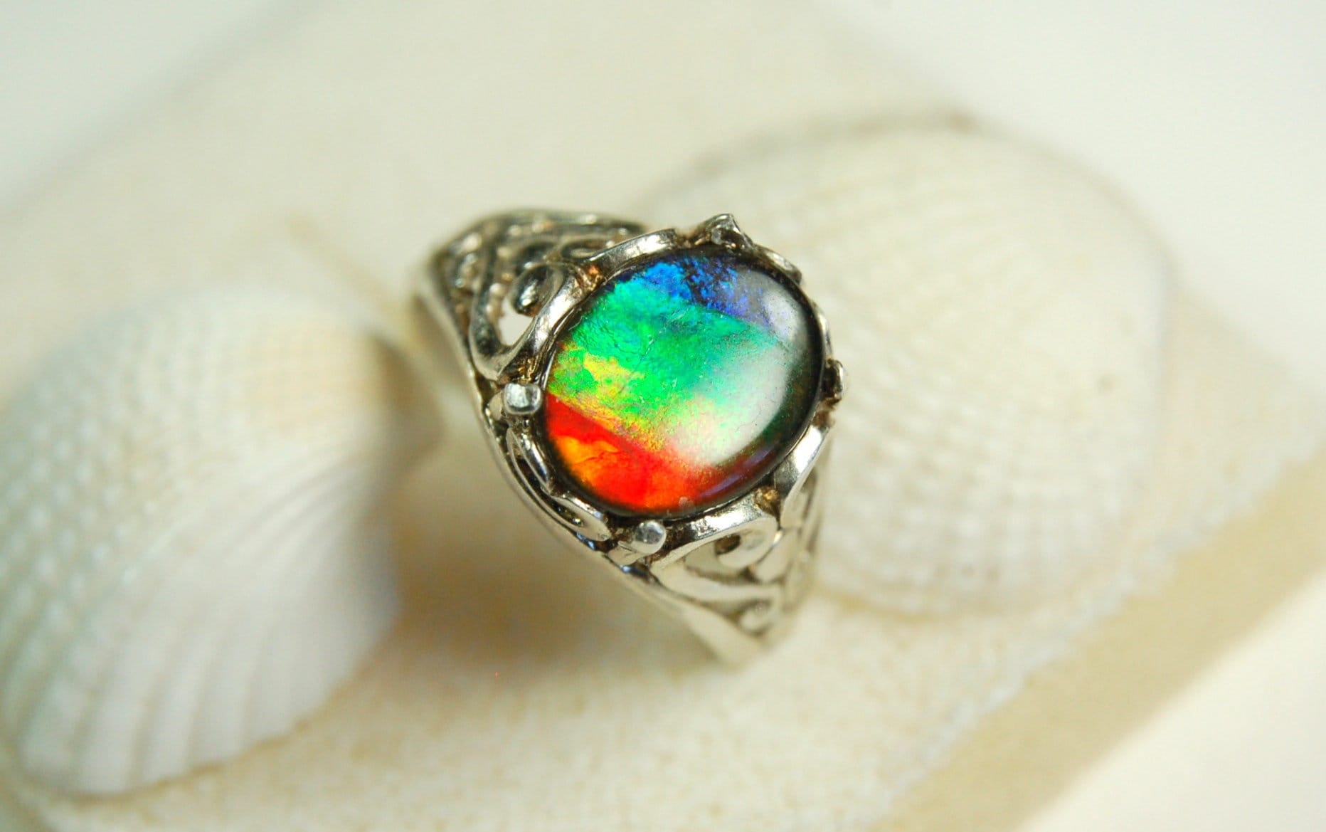 Ammolite Ladies Ring size 6.High quality tricolor gem.Very colorful.Birthday Anniversary gift?022312