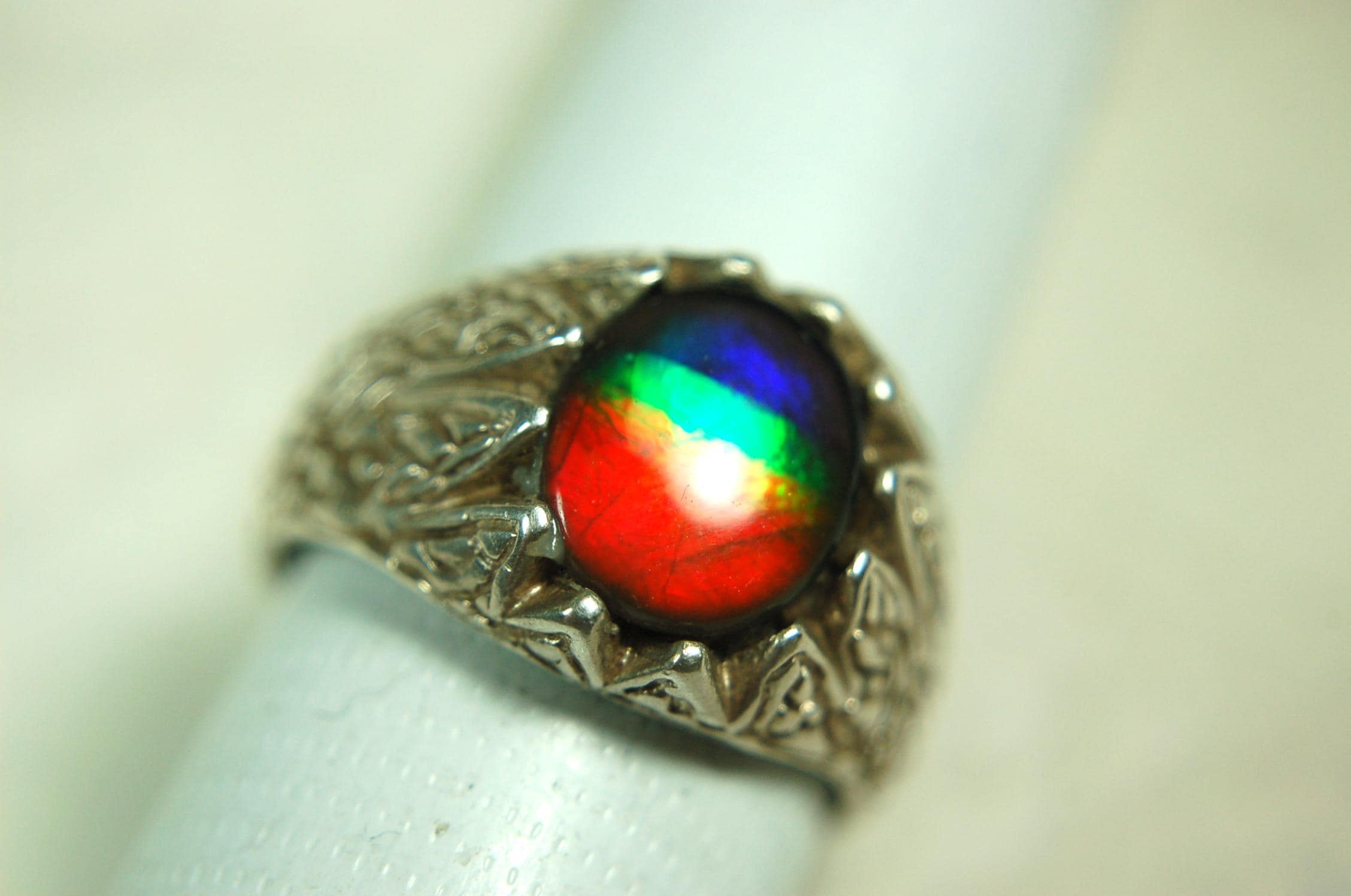 Ammolite Mens Ring of Four Colors.Size 11.Powerful Statement Ring in heavily carved Sterling Silver..061815