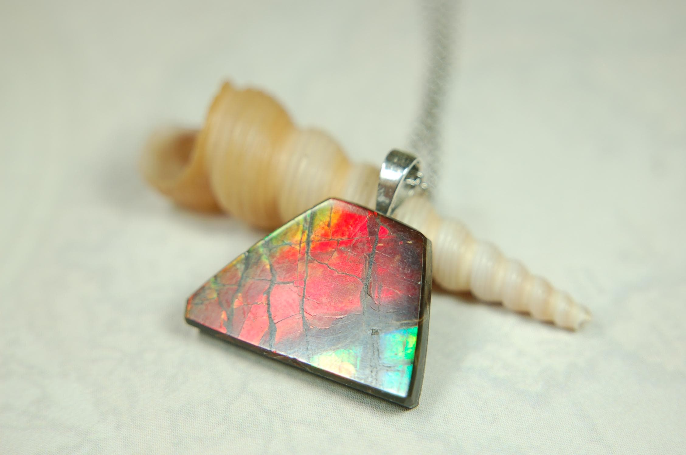 Natural Ammolite pendant with natural cabochon gem mined in Alberta Canada.070915