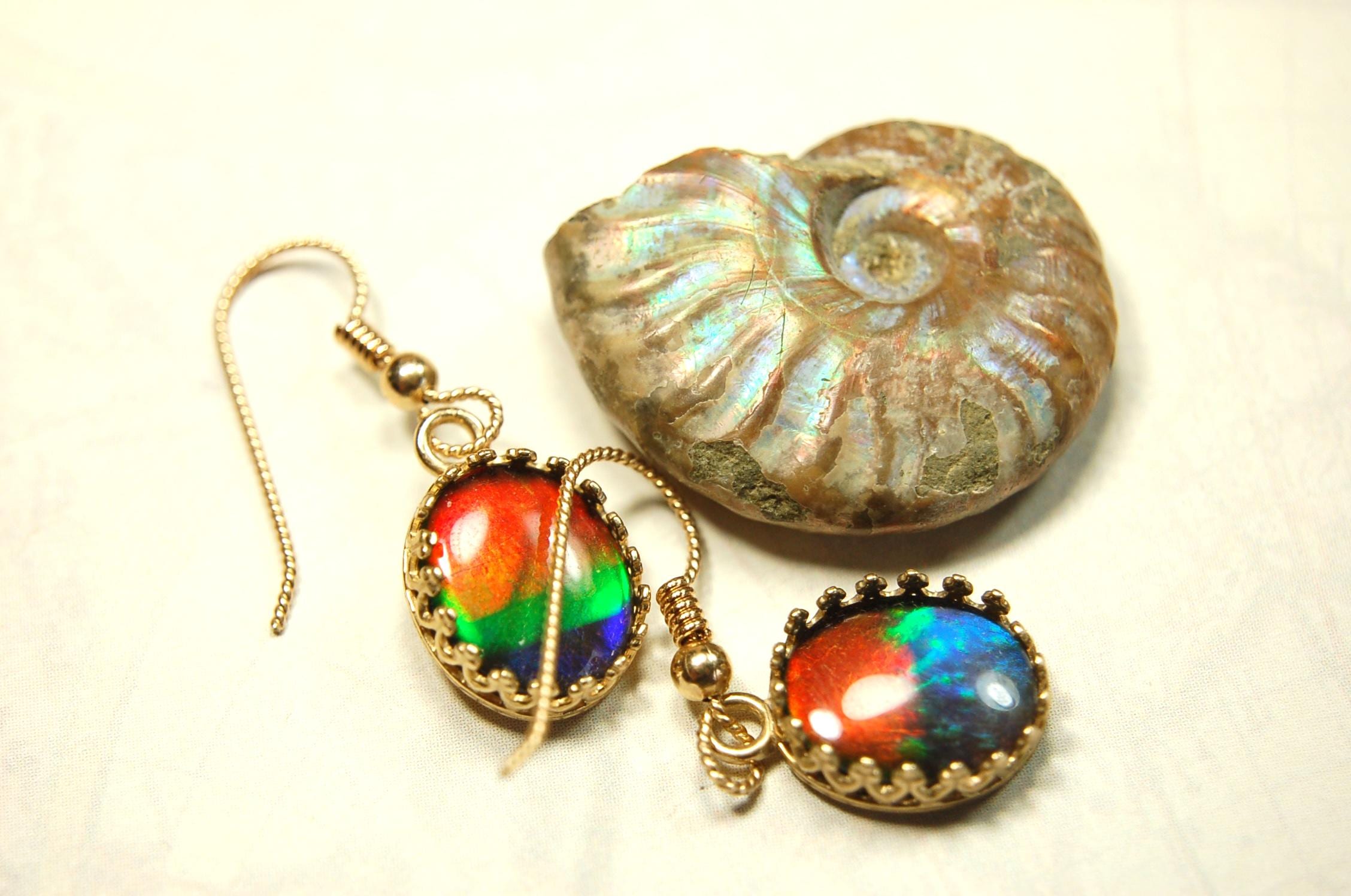 Exquisite Ammolite Earrings in 14k Gold.High Quality RARE Four Color Rainbow gems.Perfect gift Idea for wife..091214