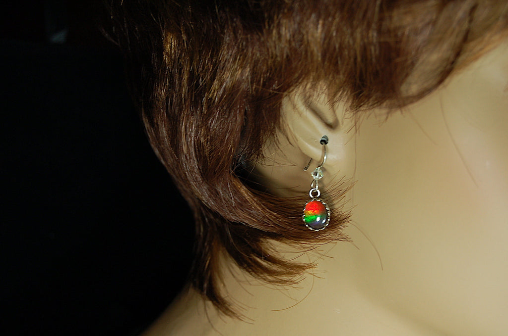 Ammolite Ear Rings.Perfect Mothers Day gift of RARE genuine ammolite she is sure to treasure.Lovely matched tricolor rainbow gems.#102410