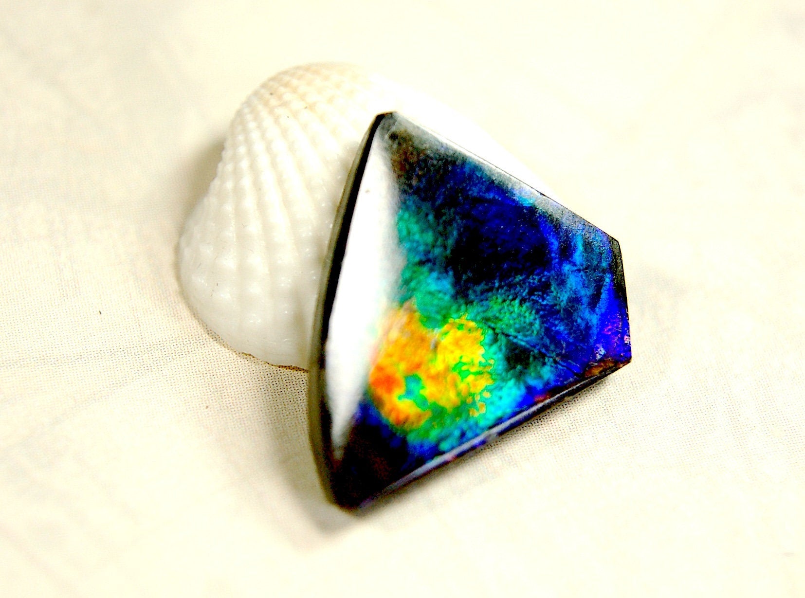 Natural Ammolite Cabochon.Certified Canadian Gem.Rare blues.Will make a valuable one of a kind pendant.A perfect gift.