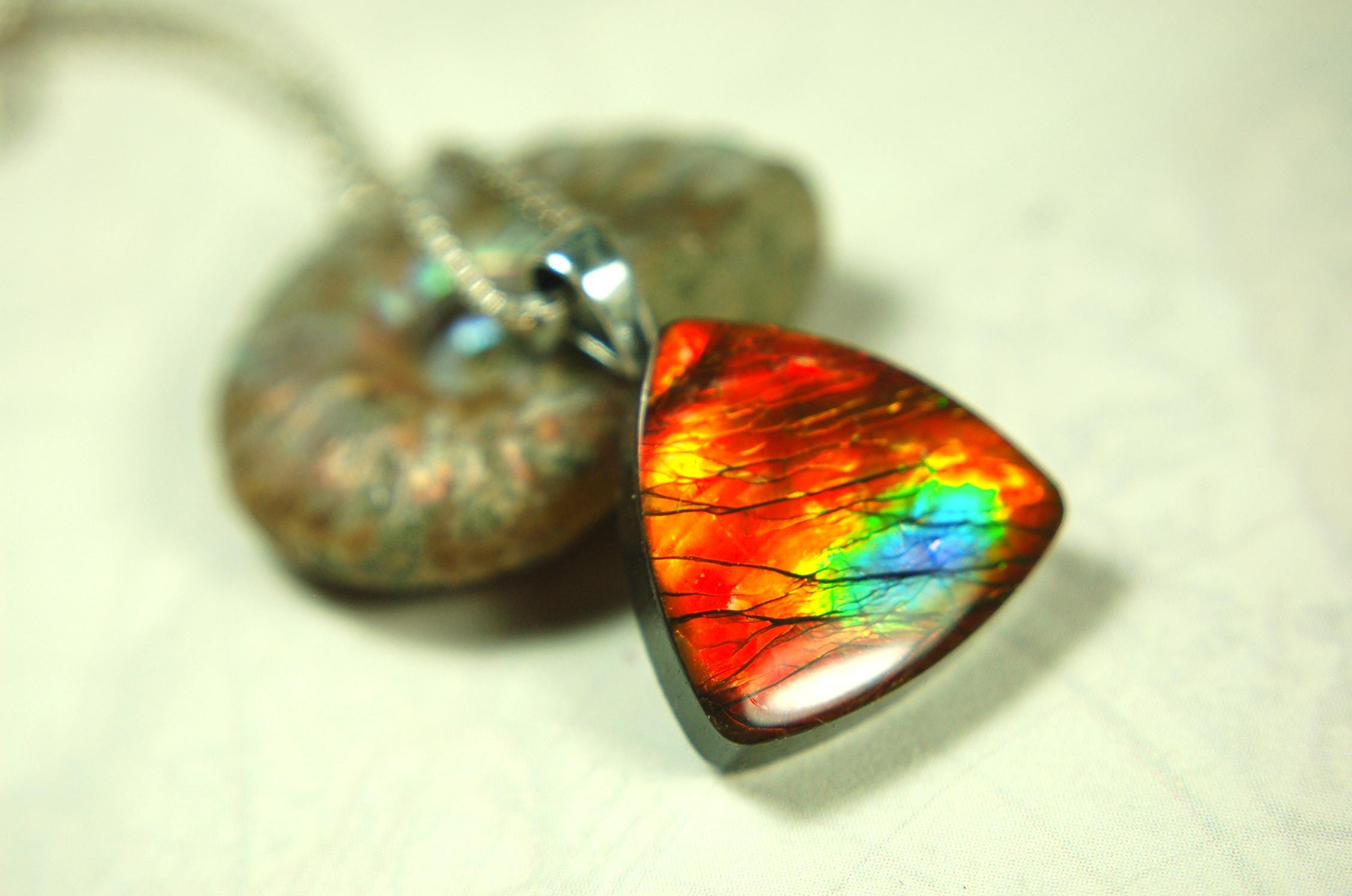 Ammolite Pendant Necklace.Unusual one of a kind color display.061915