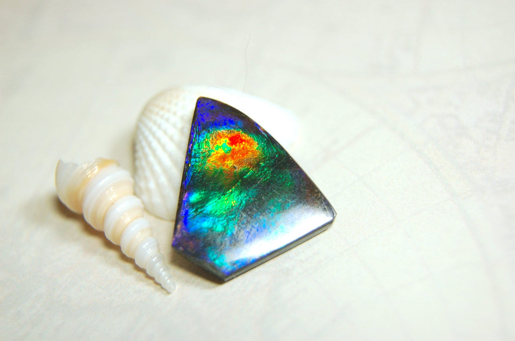 Natural Ammolite Cabochon.Certified Canadian Gem.Rare blues.Will make a valuable one of a kind pendant.A perfect gift.