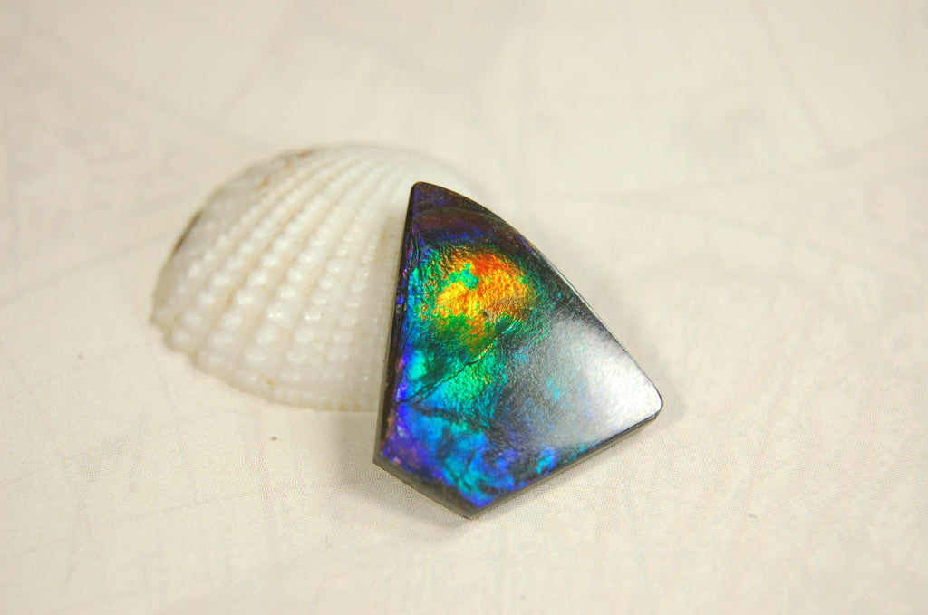 Natural Ammolite Cabochon.Certified Canadian Gem.Rare blues.Will make a valuable one of a kind pendant.A perfect gift.