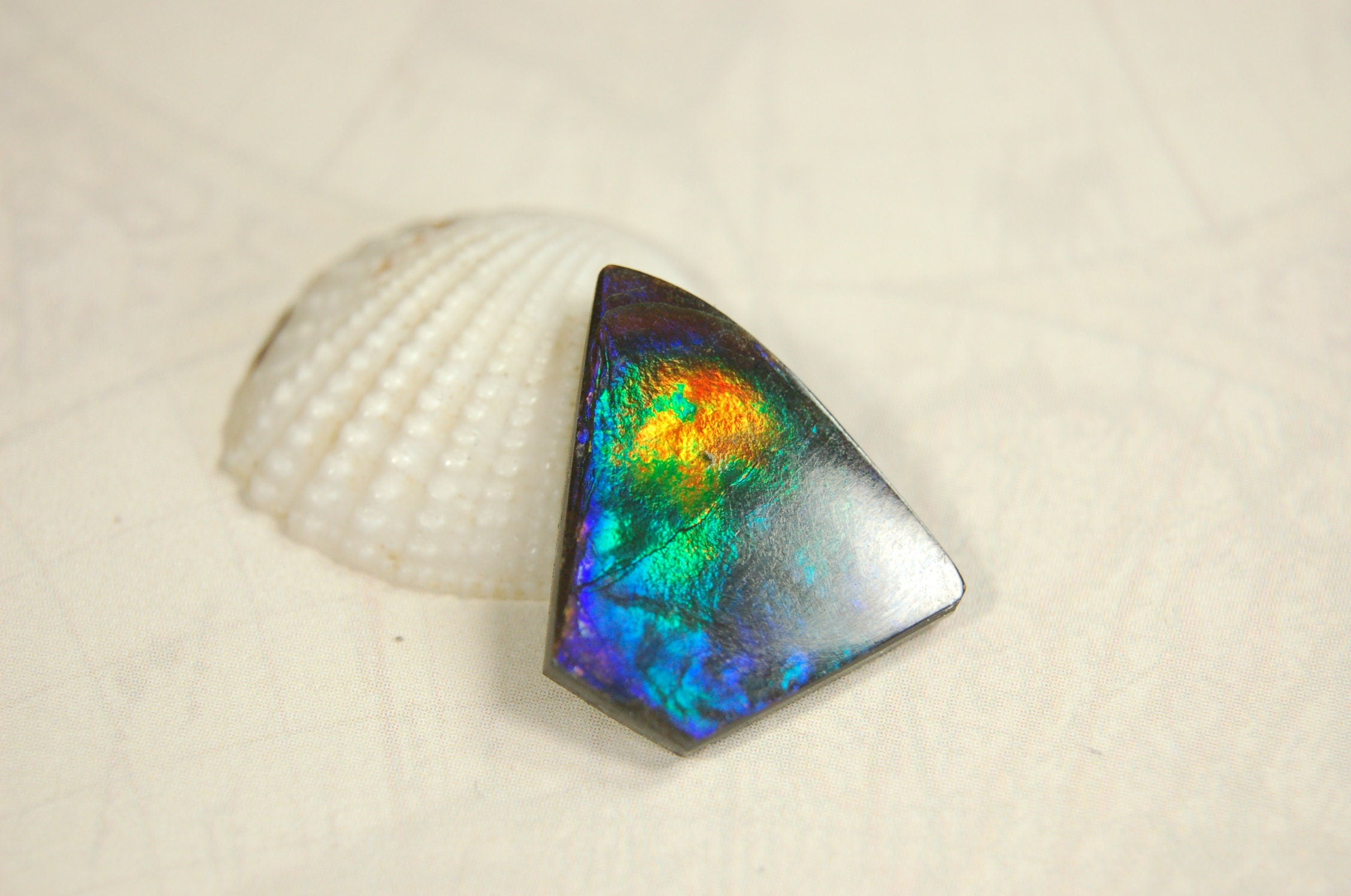 Natural Ammolite Cabochon.Certified Canadian Gem.Rare blues.Will make a valuable one of a kind pendant.A perfect gift.