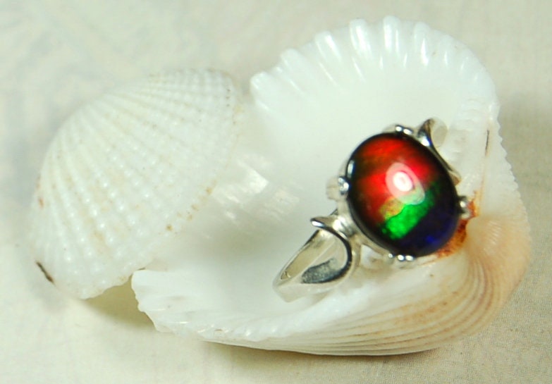 Ammolite ring.Ammolite Jewelry.Four color Ammolite.Ammolite Feng Shui.Gift for Wife.Canadian Ammolite.Ammolite Jewellery.#012111