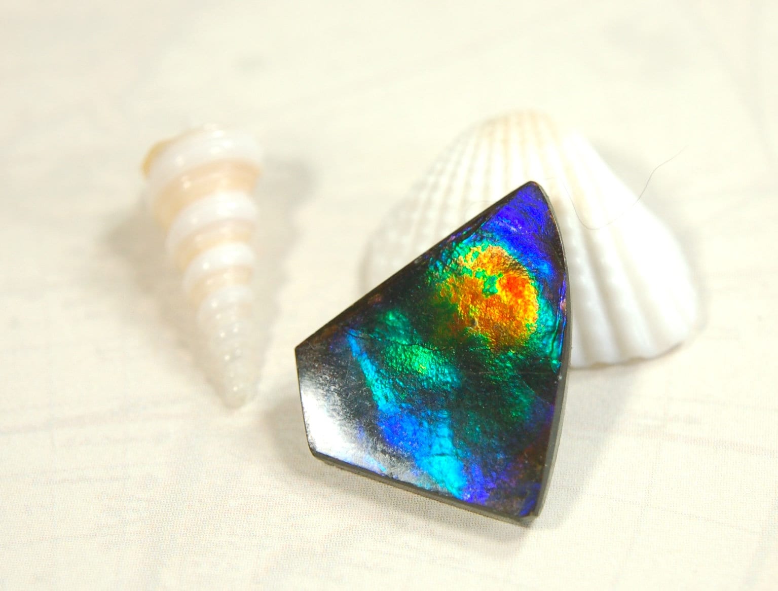 Natural Ammolite Cabochon.Certified Canadian Gem.Rare blues.Will make a valuable one of a kind pendant.A perfect gift.