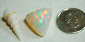 Large genuine natural Opal Cabochon from Ethiopia.11 Carat beauty with many bright colors.Best viewed in video--better in hand.122813
