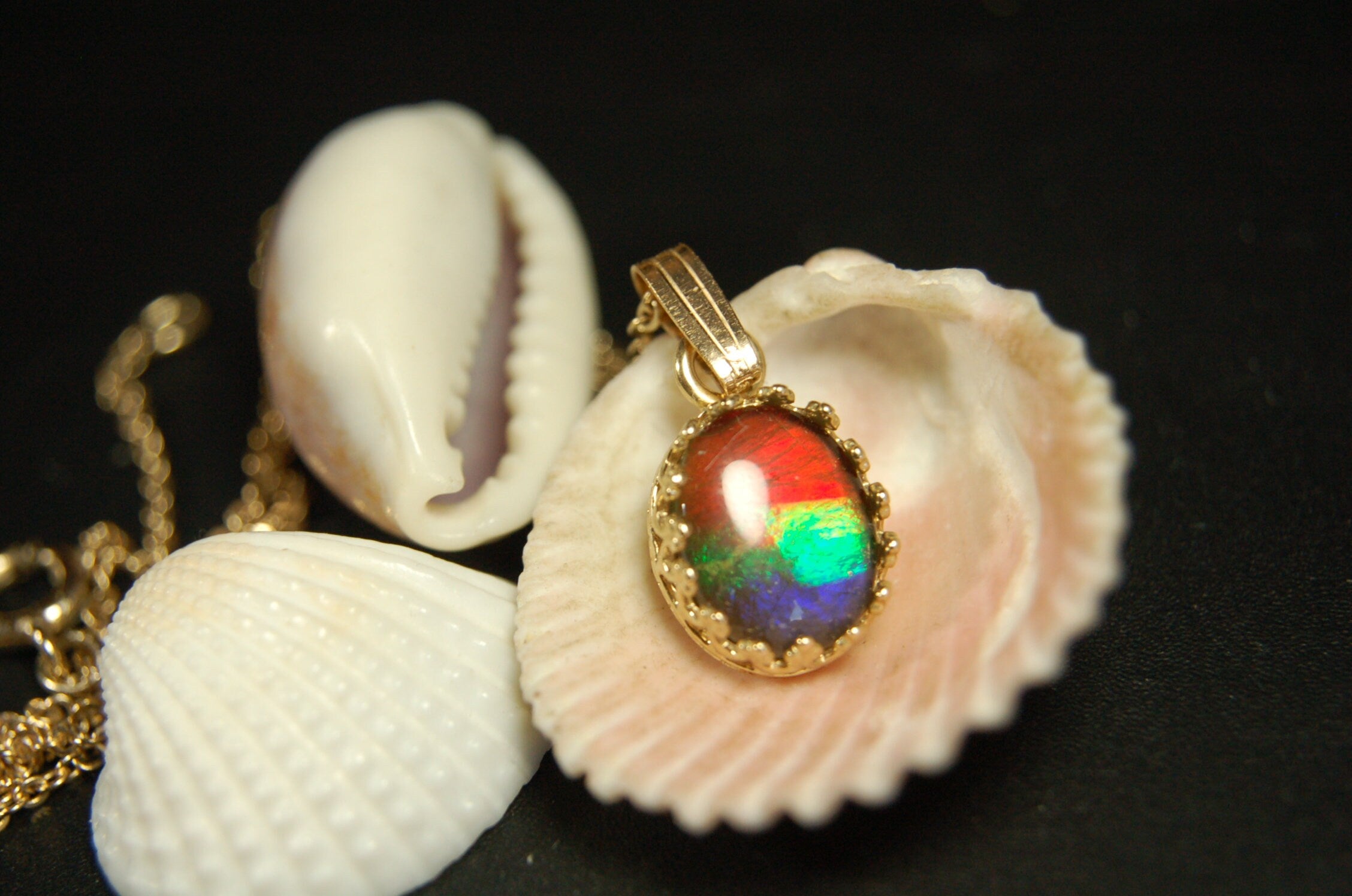 Gorgeous Ammolite pendant in 14k gold.Petite but powerful.Four color ammolite.Ammolite jewelry from Canada.Perfect gift. SEE VIDEO.060212