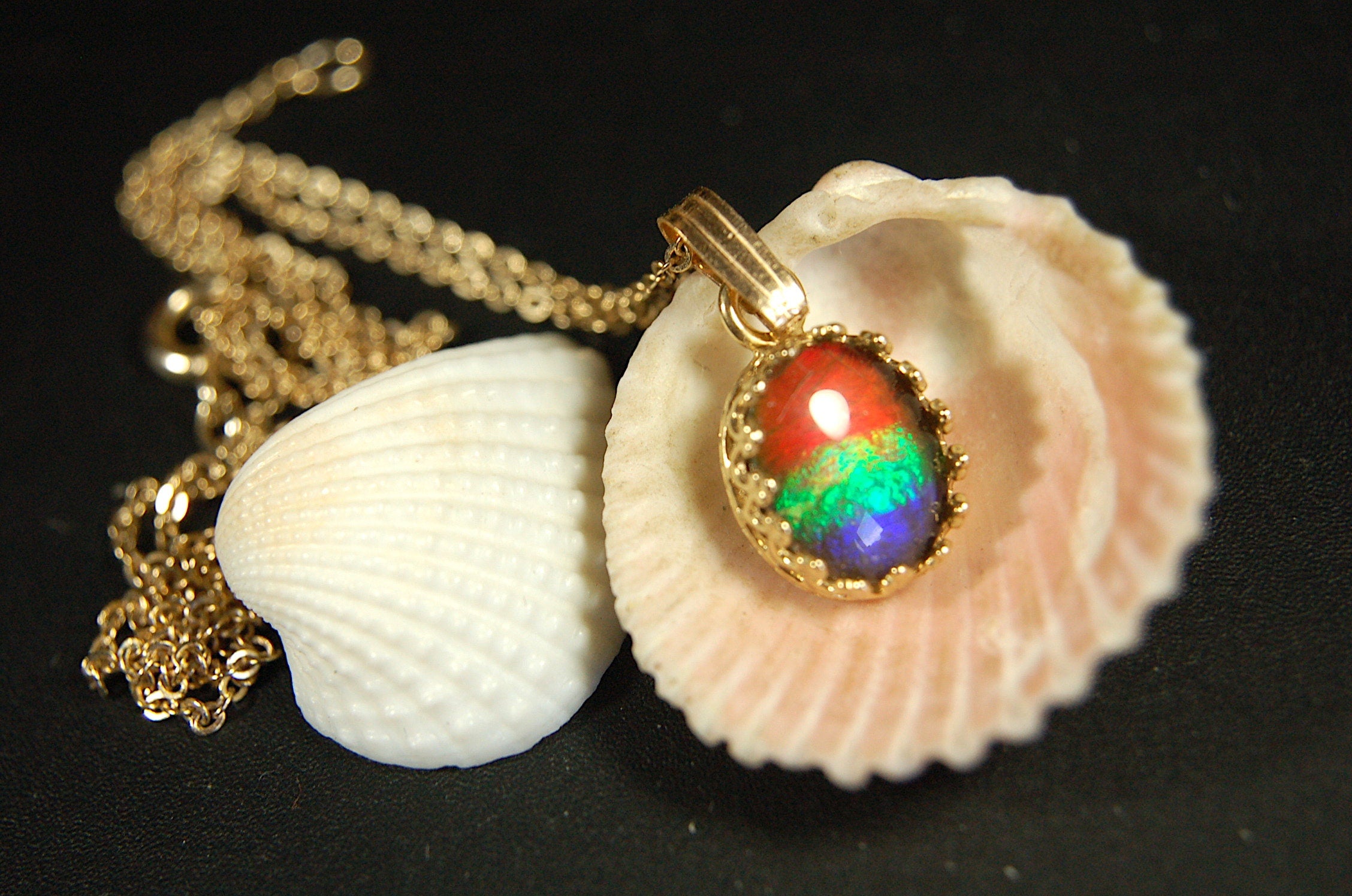 Gorgeous Ammolite pendant in 14k gold.Petite but powerful.Four color ammolite.Ammolite jewelry from Canada.Perfect gift. SEE VIDEO.060212