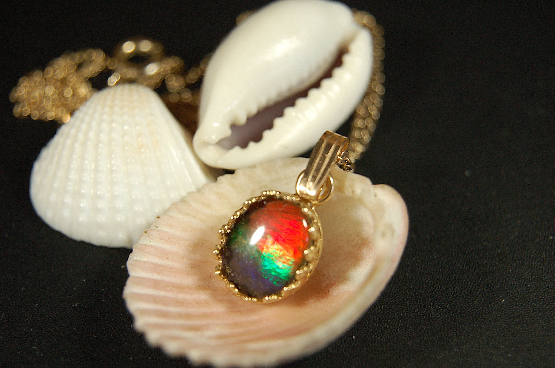 Gorgeous Ammolite pendant in 14k gold.Petite but powerful.Four color ammolite.Ammolite jewelry from Canada.Perfect gift. SEE VIDEO.060212