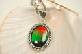Ammolite pendant conveys a loving heartfelt message.Ammolite jewelry.Four color Rainbow ammolite.Ammolite necklace.Canadian ammolite.100301