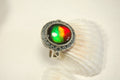 Ammolte Ring.Universal Fit.We pay to Fedex to you.Tax exempt under CUSMA rules.#021913