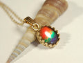 Gorgeous Ammolite pendant in 14k gold.Petite but powerful.Four color ammolite.Ammolite jewelry from Canada.Perfect gift. SEE VIDEO.060212
