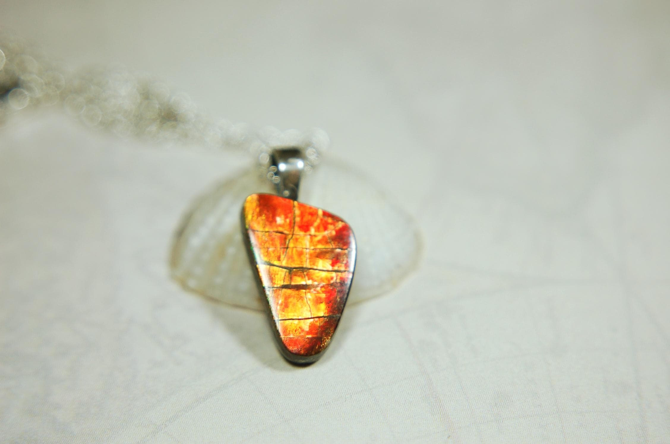 Ammolite Pendant with a gem of fire best appreciated in video.Amazing brilliance and hot colors.A big attention getter.022416