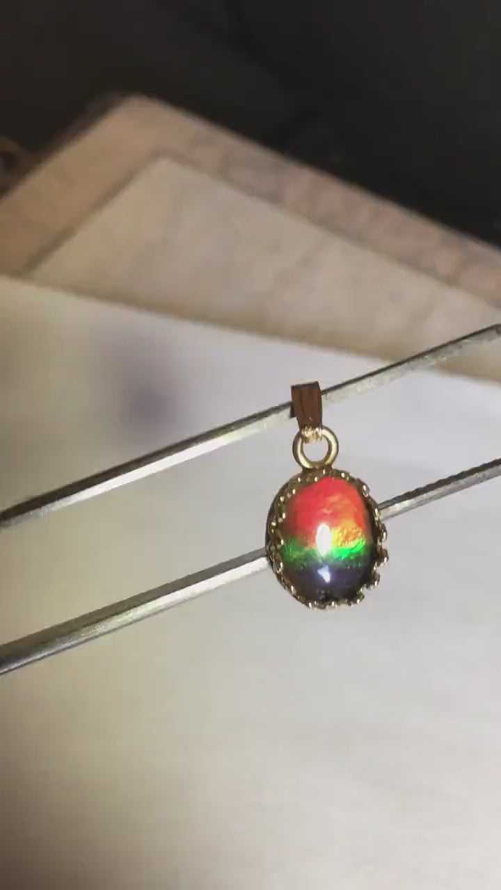 Gorgeous Ammolite pendant in 14k gold.Petite but powerful.Four color ammolite.Ammolite jewelry from Canada.Perfect gift. SEE VIDEO.060212