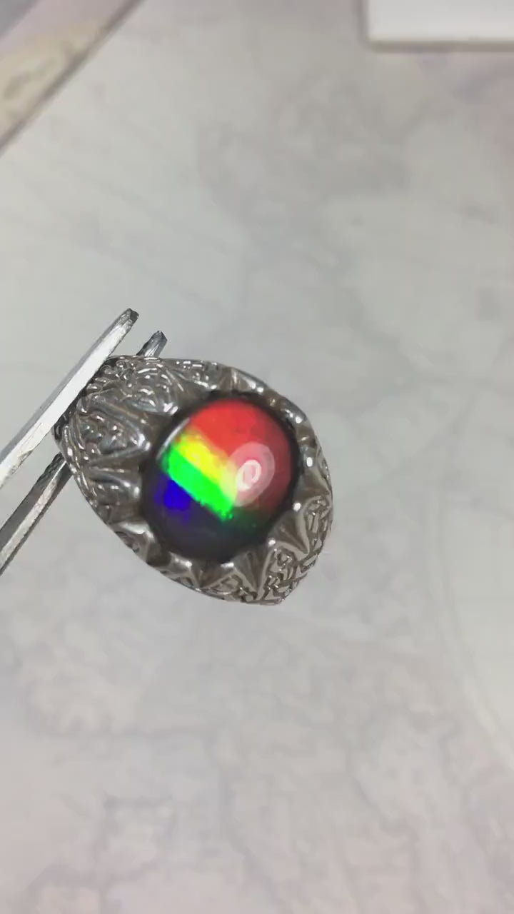 Ammolite Mens Ring of Four Colors.Size 11.Powerful Statement Ring in heavily carved Sterling Silver.Best seen in supplied video.061815